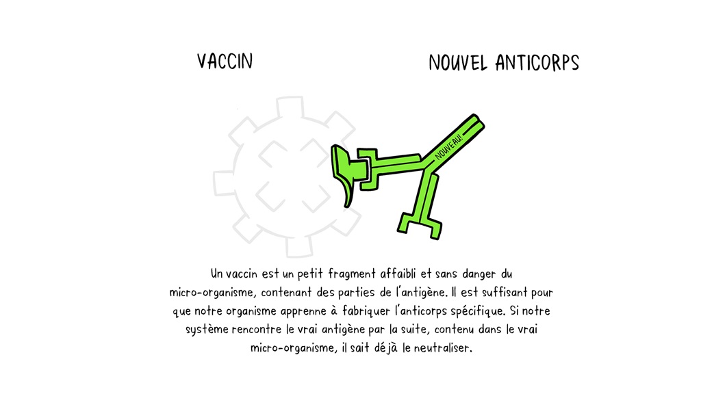 Vaccines Antibody illustration 02_29 Oct